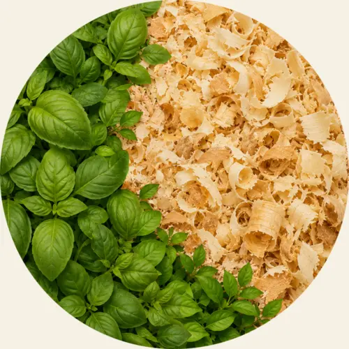Fresh basil leaves beside a bed of pale wood fibres.