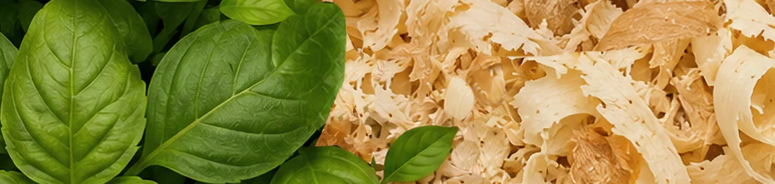 Basil leaves and wood fibres