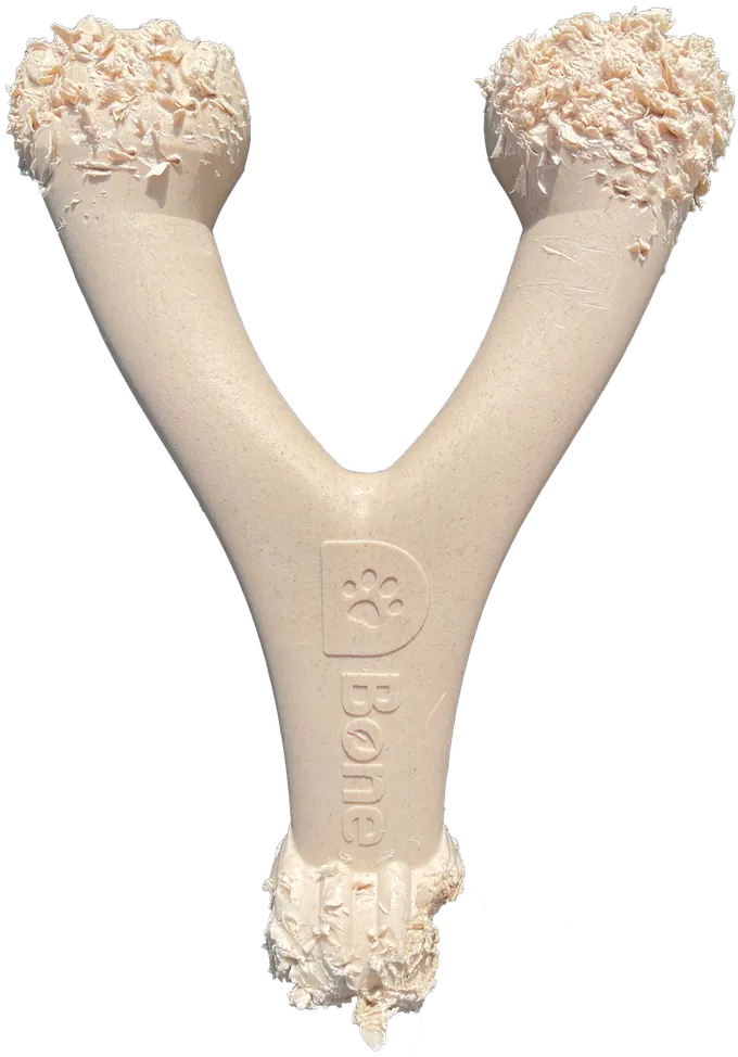Heavy wear on a D-Bone Wishbone dog chew — time to replace it